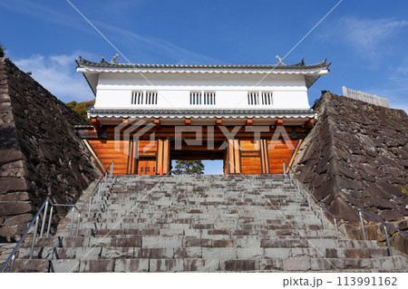 山梨県　甲府市　舞鶴城公園 113991162
