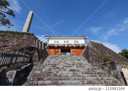 山梨県　甲府市　舞鶴城公園 113991164