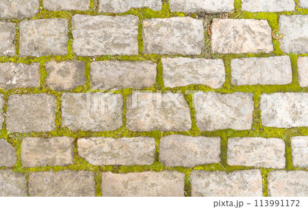 Old stone road with green grass growing between the gray blocks. High quality photo Old stone road with green grass growing between the gray blocks. High quality photo 113991172