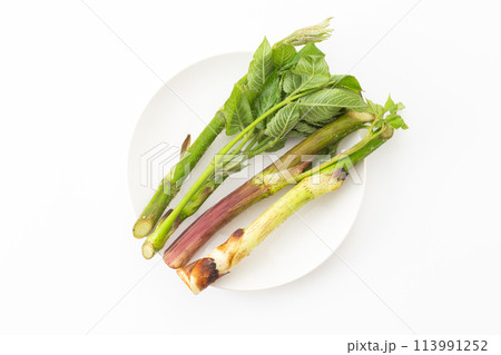 山菜のうど 113991252