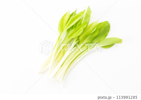 山菜のうるい 113991285