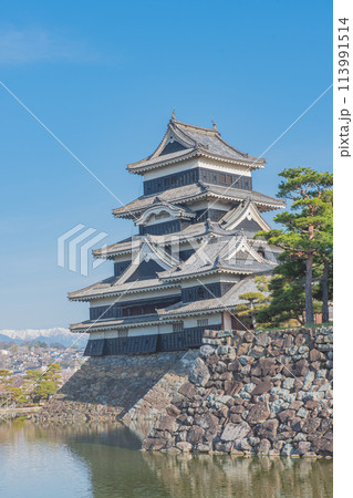 松本城 113991514