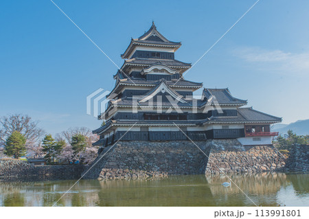 松本城 113991801