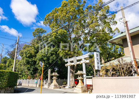兵庫県伊丹市昆陽の東天神社（延命長寿の神）　鳥居 113991987