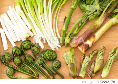 色々な山菜の盛り合わせ 113992176