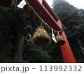 茨城県常陸太田市にある東金砂神社の鳥居と注連縄 113992332