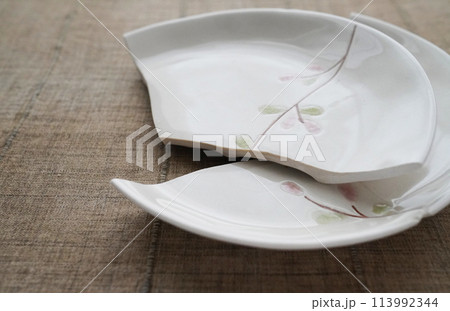 真っ二つに割れてしまった陶器のお皿 真っ二つに割れてしまった陶器のお皿 113992344