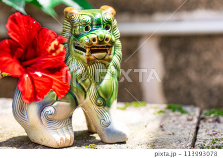 南国の赤いハイビスカスの花とシーサー 113993078