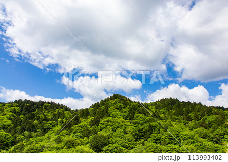 新緑の山と青い空 113993402