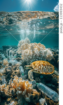underwater photography, tropical sea. Below under water there is garbage, plastic bottles and a turtle. pollution of world ocean, environmental disaster concept 113993432