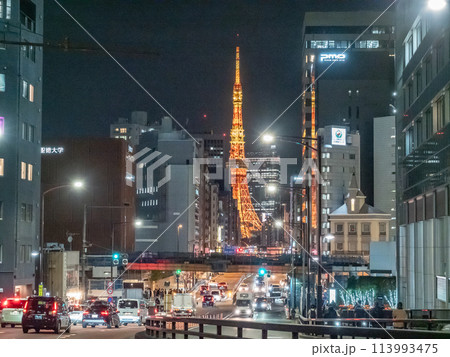 【東京】東京タワー 113993475