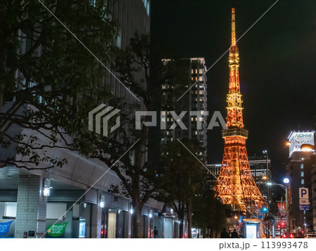 【東京】東京タワー 【東京】東京タワー 113993478