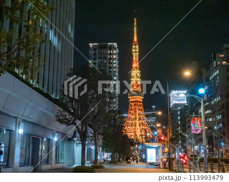 【東京】東京タワー 【東京】東京タワー 113993479