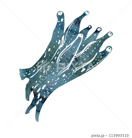 Watercolor and ink hand drawn marine life, sea ocean underwater creatures. fish, shells algae seaweed. Single object illustration, stylized, isolated on white. Zoo shop, aquarium, cosmetics, resort 113993510