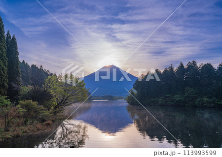 (静岡県)田貫湖 ダイヤモンド富士 (静岡県)田貫湖 ダイヤモンド富士 113993599