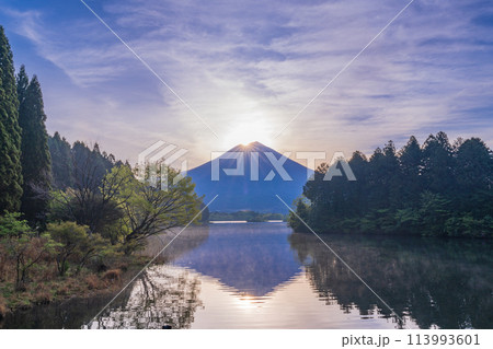 (静岡県)田貫湖 ダイヤモンド富士 (静岡県)田貫湖 ダイヤモンド富士 113993601
