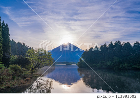 （静岡県）田貫湖　ダイヤモンド富士 113993602