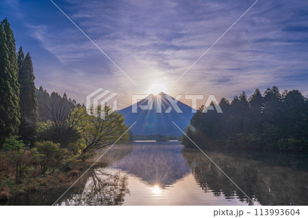 （静岡県）田貫湖　ダイヤモンド富士 113993604