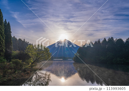 （静岡県）田貫湖　ダイヤモンド富士 113993605