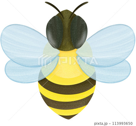 the view of flying bee ,bee cartoon character,the view of flying bee ,bee cartoon character,bee cartoon character Painted with bright colors 113993650