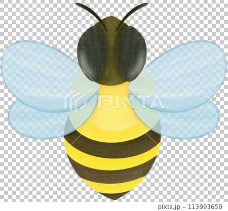 the view of flying bee ,bee cartoon character,the view of flying bee ,bee cartoon character,bee cartoon character Painted with bright colors 113993650