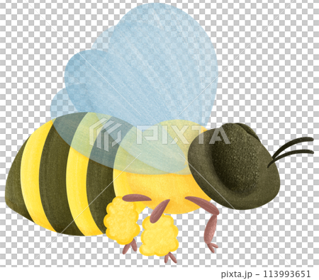 the view of flying bee ,bee cartoon character,the view of flying bee ,bee cartoon character,bee cartoon character Painted with bright colors 113993651