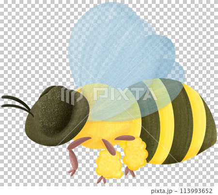 the view of flying bee ,bee cartoon character,the view of flying bee ,bee cartoon character,bee cartoon character Painted with bright colors 113993652