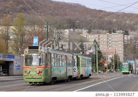 札幌市電 006 リバイバルカラー 243号 札幌市電 006 リバイバルカラー 243号 113993827