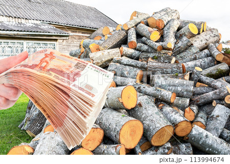 Chopped and stacked up dry firewood at the countryside Chopped and stacked up dry firewood at the countryside 113994674