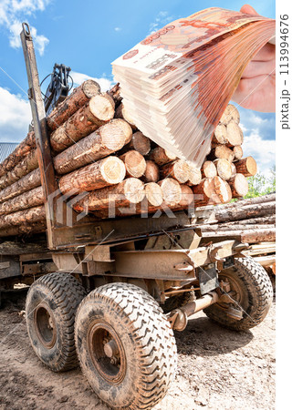 Timber carrier with large sawn logs at the wood storage place 113994676