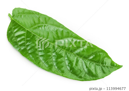 leaf of passion-fruit or maracuja isolated on white background. Top view. Flat lay 113994677