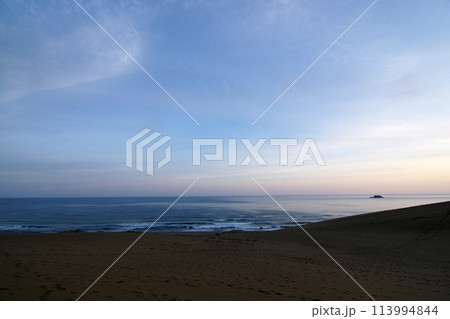 鳥取　四季の散歩　春　砂丘 113994844