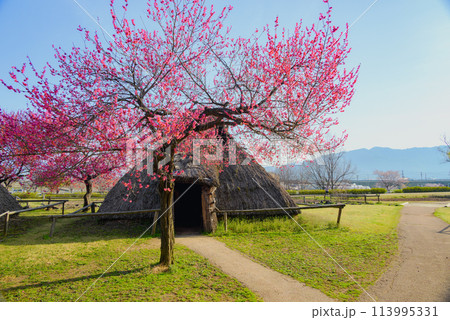 科野の里歴史公園【千曲市】 科野の里歴史公園【千曲市】 113995331