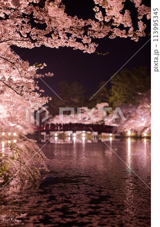 カラフルなライトに照らされる夜の弘前の桜 カラフルなライトに照らされる夜の弘前の桜 113995345