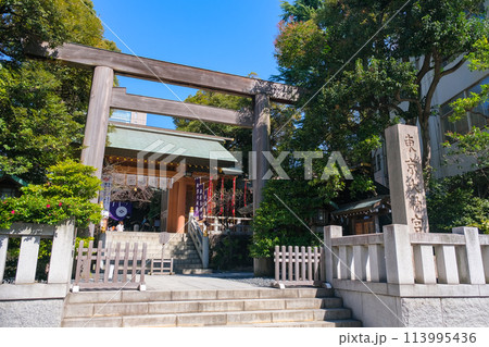 東京都千代田区 東京大神宮 113995436