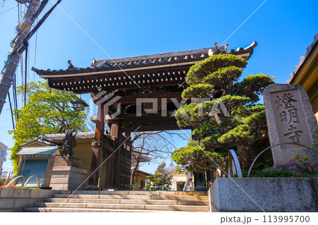 東京都江戸川区 燈明寺 山門 東京都江戸川区 燈明寺 山門 113995700