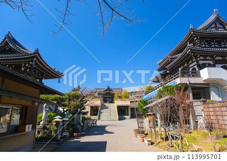 東京都江戸川区 燈明寺 境内 113995701