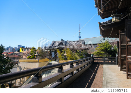 東京都江戸川区 燈明寺 本堂から見る境内と街並み 東京都江戸川区 燈明寺 本堂から見る境内と街並み 113995711