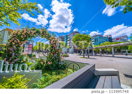 日本の横浜都市景観 新緑に染まる地下鉄 センター南駅前などを望む=4月25日 日本の横浜都市景観 新緑に染まる地下鉄 センター南駅前などを望む=4月25日 113995748