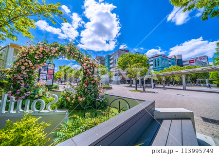 日本の横浜都市景観 新緑に染まる地下鉄　センター南駅前などを望む＝4月25日 113995749