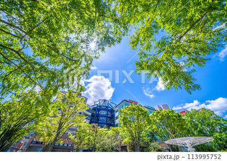 日本の横浜都市景観 新緑に染まる地下鉄　センター南駅前などを望む＝4月25日 113995752