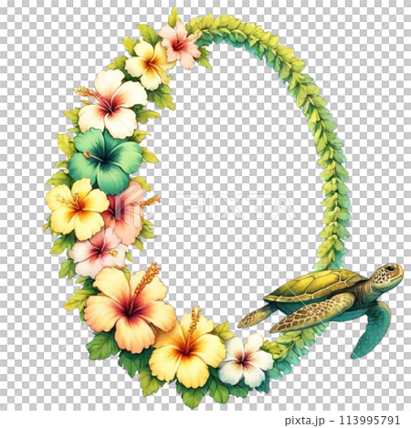 フレーム素材 ハワイアンハイビスカス 海亀のイラスト素材