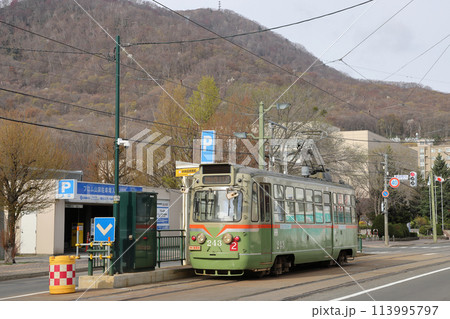 札幌市電 008 リバイバルカラー 243号 113995797