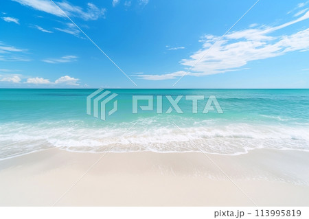 南国・ビーチ「AI生成画像」 113995819