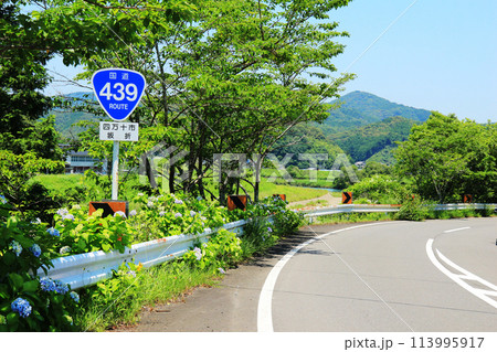 国道沿いの初夏の風景 国道沿いの初夏の風景 113995917