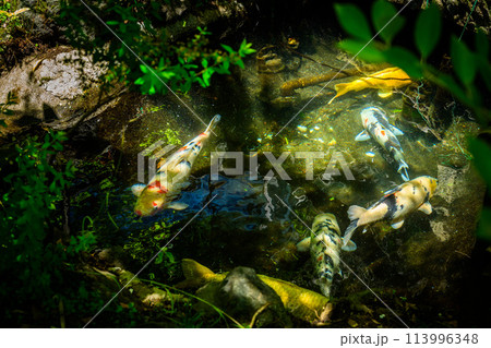 うららかな春空に映える大自然の温泉街風景　「阿蘇内牧温泉 湯巡追荘（ゆめおいそう）」阿蘇市内牧 113996348