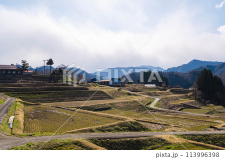 日本の原風景 大岡の棚田の春 日本の原風景 大岡の棚田の春 113996398