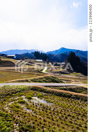 日本の原風景　大岡の棚田の春 113996400