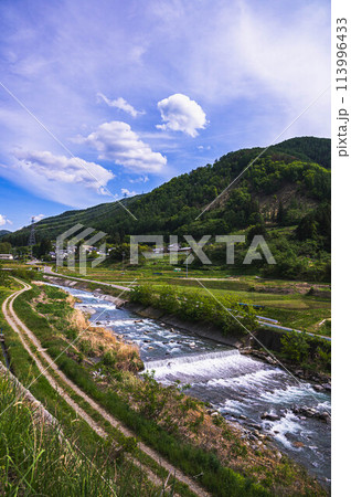 山辺を流れる薄川と自然風景 113996433