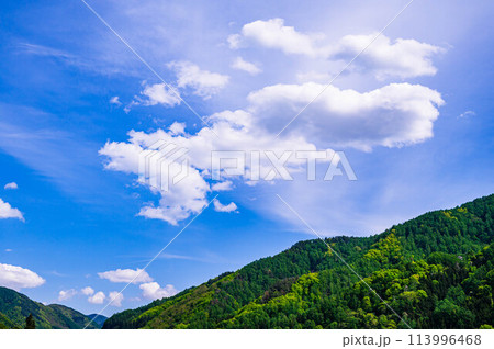 初夏の青空と山 初夏の青空と山 113996468
